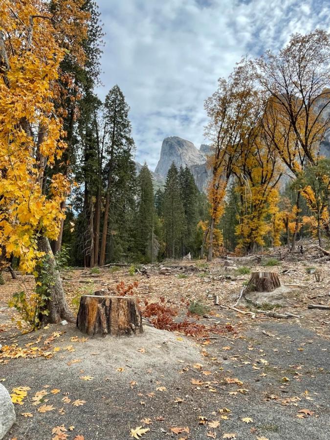 Yosemite Escapes - Pine Mountain Lake Groveland Exterior photo